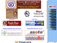 Tablet Screenshot of dte-egypt.com